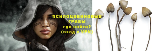 соль ск Киреевск