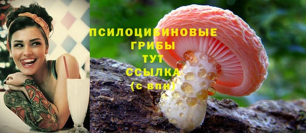 MESCALINE Кинешма