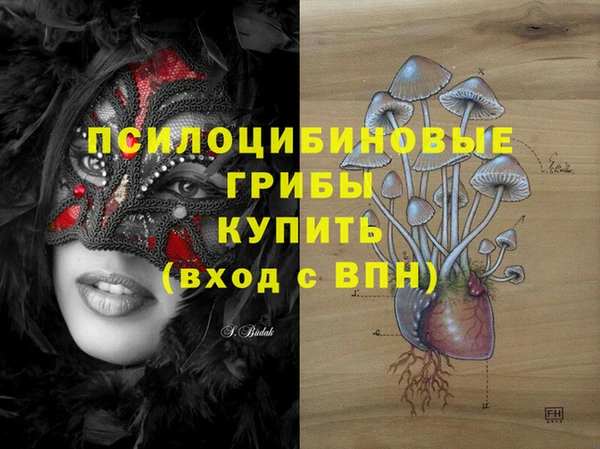 соль ск Киреевск