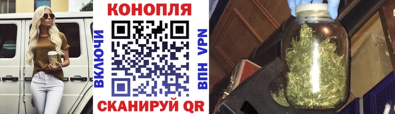 Каннабис ГИДРОПОН  Купить  Кубинка 